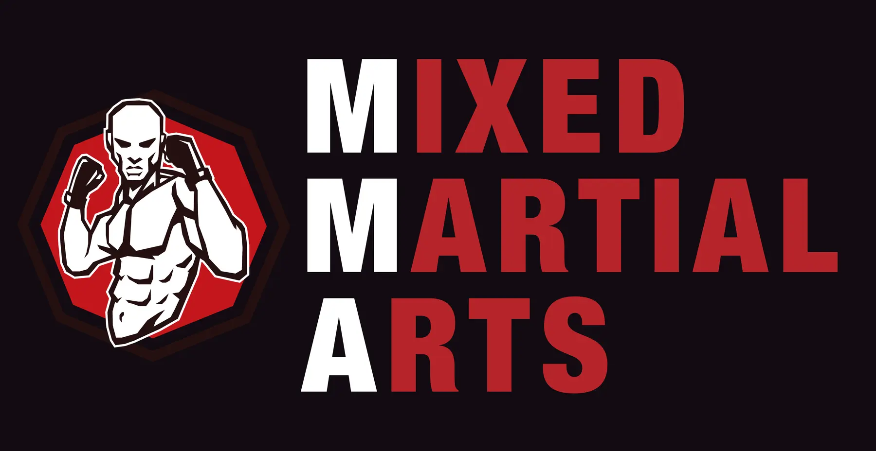 Affiche Mixed Martial Arts réalisée pour la devanture du Dojo 114